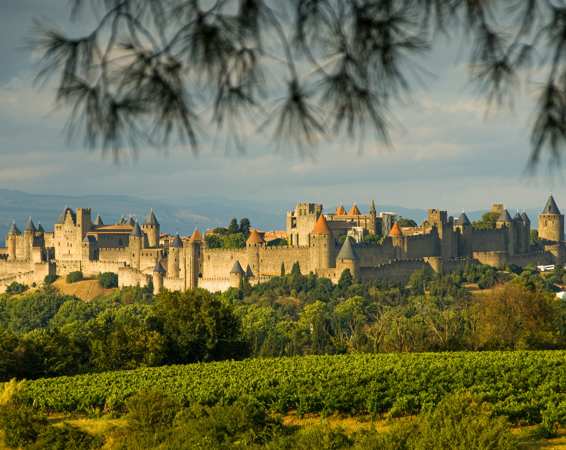 Restaurant pour groupe Carcassonne Occitanie