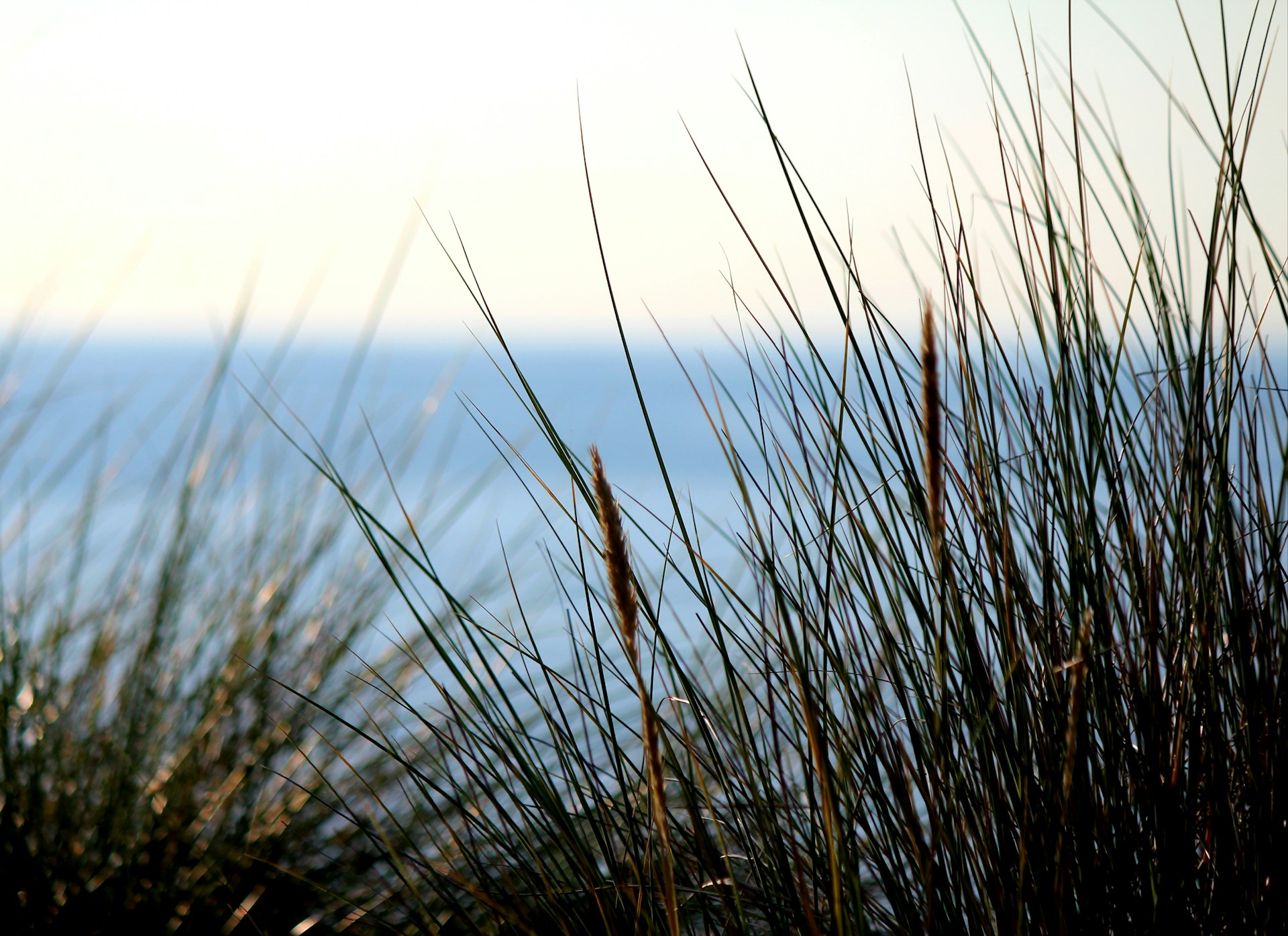 Restaurant pour groupe Le Touquet Hauts-de-France