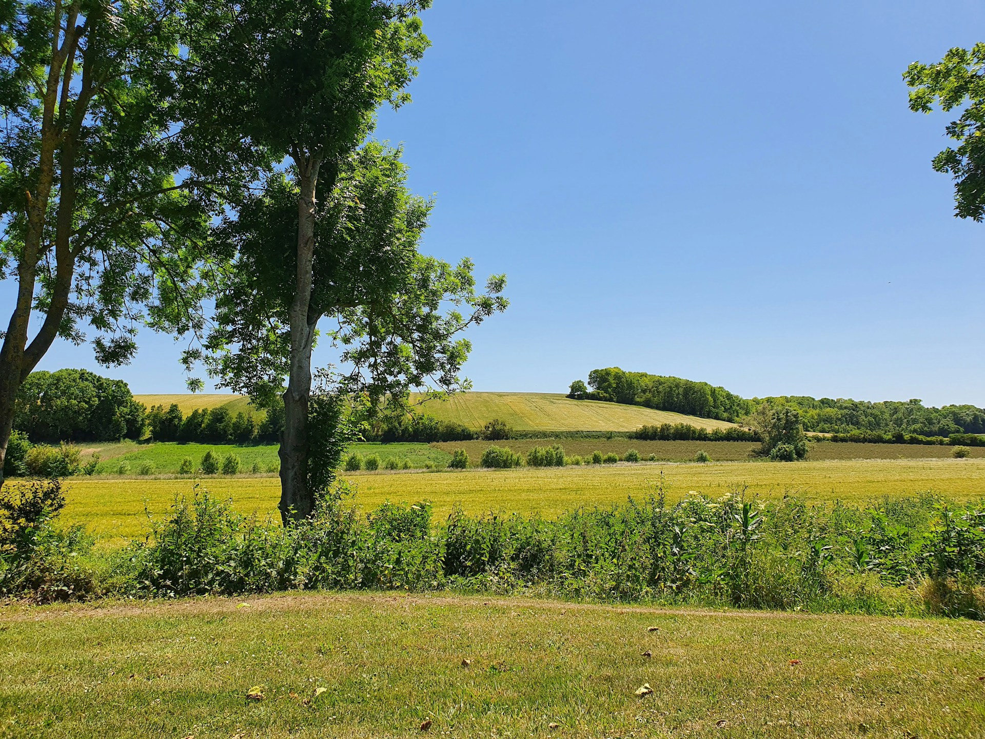 Restaurant pour groupe Lectoure Occitanie